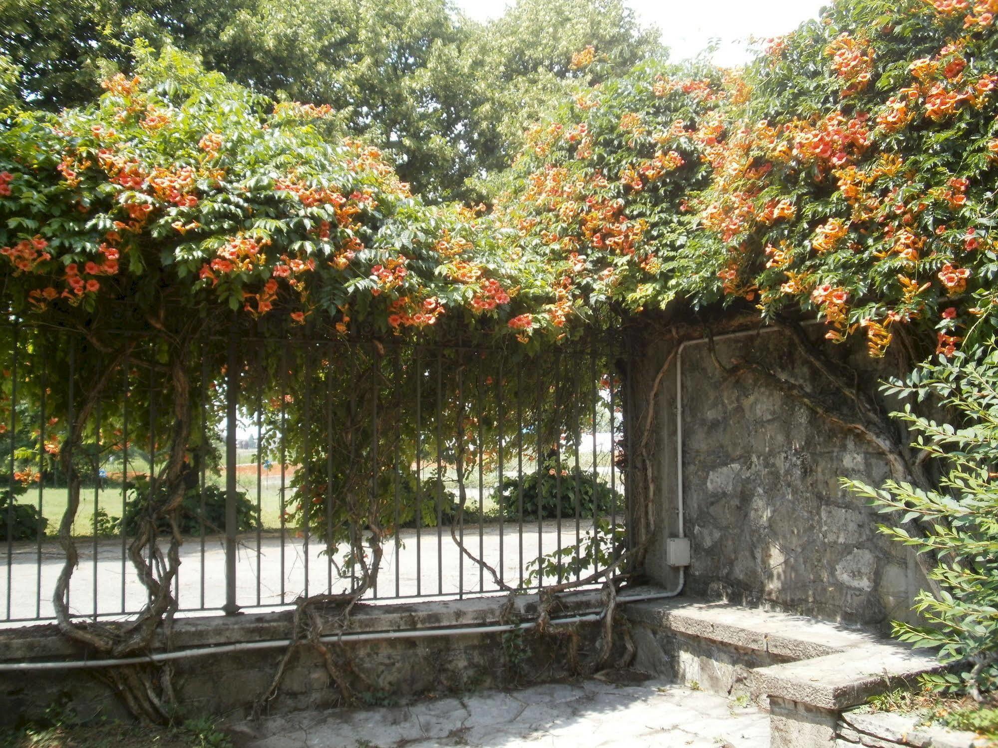 Albergo Villa & Roma Pallazzolo sull'Oglio Exterior photo